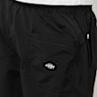 Dickies Texture Nylon Work Pants schwarz 88198 5