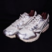 Mizuno Wave Rider 10 "Metallic Pack 2" beige 84629 7