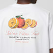 solebox Citrus Tee white 90018 5