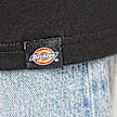 Dickies Goose T-Shirt black 85299 7