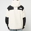 The North Face DryVent Mono Mountain Jacket beige 87791 4