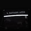 A Bathing Ape&nbsp; Color Camo Sacoche noir 87702 5