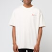 Nike ACG Dri-Fit T-Shirt beige 86337 2