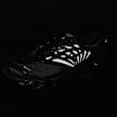 Mizuno Wave Prophecy LS Gore-Tex black 87401 8