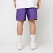 Nike M Nk Club Flow Short wild grape/white roze 88735 4