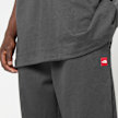 The North Face&nbsp; RedBox Sweatpants gris 88562 5
