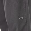 Oakley Fgl Divisional Pants 5.7 grau 86670 6