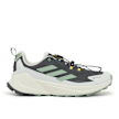 adidas Originals Terrex Trailmaker 2 GTX x NG grey 87546 2