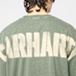 Carhartt WIP RGGD T-Shirt groen 91509 5