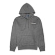Polo Ralph Lauren Longsleeve Hoodie grau 91378 1