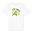 solebox Citrus Tee weiß 95072 1