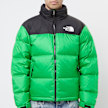 The North Face 1996 Retro Nuptse Jacket grün 84987 2