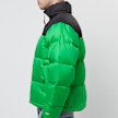 The North Face 1996 Retro Nuptse Jacket green 84987 3