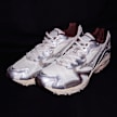 Mizuno Wave Rider 10 "Metallic Pack 2" beige 84629 7
