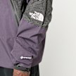The North Face Utility Hike Spectra Gore-Tex Mountain Light Jacket roze 94982 4