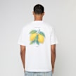 solebox Citrus Tee wit 95072 4