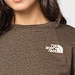 The North Face&nbsp; Wmns Hike Picnic Boxy Short-Sleeve Graphic T-Shirt brun 103260 4