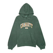 Buy Carhartt WIP Hooded Library Sweatshirt in green | I034726.CIGD
