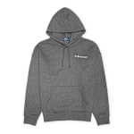 Buy Polo Ralph Lauren Longsleeve Hoodie in grey | 710917904014