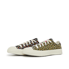 Converse Wmns Chuck 70 multicolore