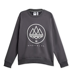 adidas Originals Spezial FC Longsleeve gris