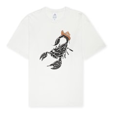 Nike Acg Tee Oc Scorpion summit white white
