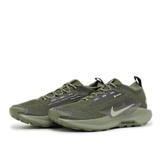 Nike Pegasus Trail 5 GTX SP vert