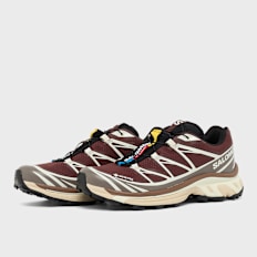 Salomon XT-6 GTX brown