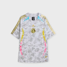 adidas Originals x Bape World Cup Teamgeist Tee multicolore