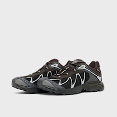 Salomon Wmns XT-Whisper GTX noir
