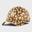 New Era Animal Deer Print 9Twenty Cap LA Dodgers Braun