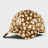 New Era Animal Deer Print 9Twenty Cap LA Dodgers brown