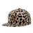 New Era Animal Leopard Print 59Fifty Fitted Cap multicolore